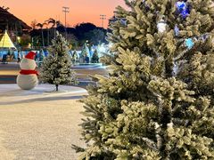 -汕头中海黄金海岸水上乐园