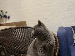 -吱咖啡西式简餐
