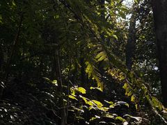 -赤水丹霞旅游区·佛光岩