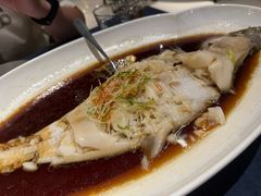 -金狮麟·新豫菜(金码大厦店)