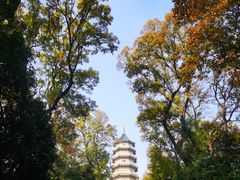 -灵谷景区