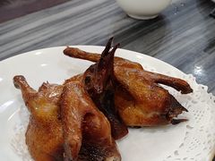 -鸽鸟轩(石岐店)