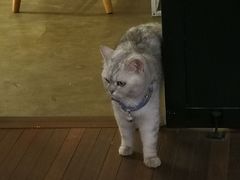-研途咖啡馆(健康路店)