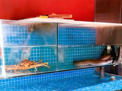 -隐炉和牛烧肉店(群力店)