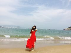 -枸杞岛