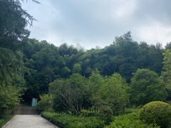 -上海佘山国家森林公园天马山园