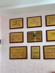 -香薇妮丝·定制减肥·身材管理