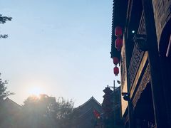 -老槐树煎包