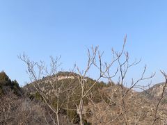 -府君山公园