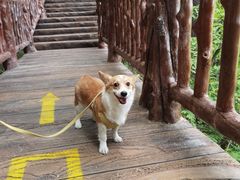 -塔云山