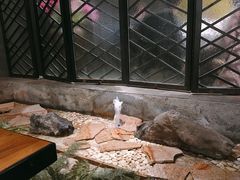 大堂-广东道至正餐厅(区庄店)