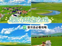 -乌兰布统草原