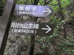 -阳台山自然风景区