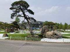 -罗红摄影艺术馆