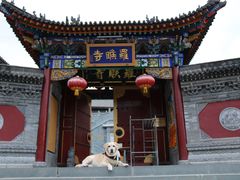 -五台山风景名胜区-罗睺寺