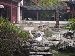 -祝家花園(伯渎港店)