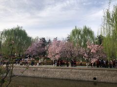 -元大都城垣遗址公园