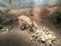 -自贡恐龙博物馆