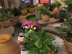 -润园四季椰子鸡火锅(海上世界店)