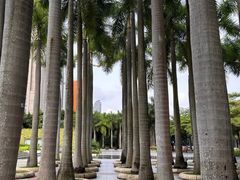 -深圳国际园林花卉博览园