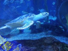 -多彩贵州城极地海洋世界