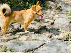 -阳台山自然风景区