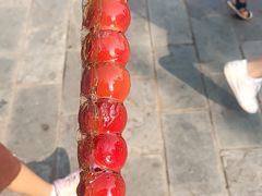 -燕郊植物园
