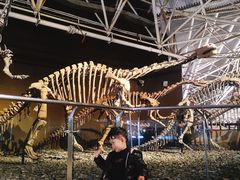 -世界恐龙谷景区