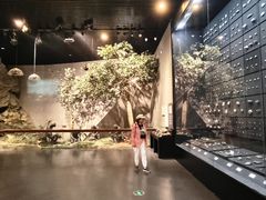 -北京周口店北京人遗址博物馆