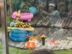 -大连森林动物园