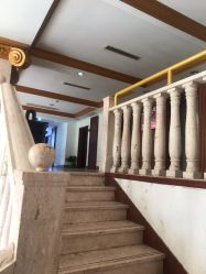 -宝丽姿