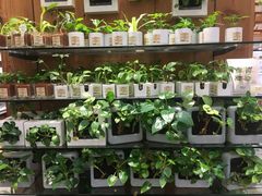 -天仁茗茶(海港城诚品书店)