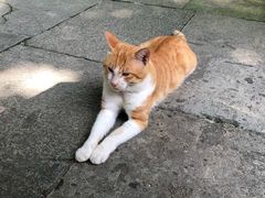 -菲滋意式餐厅(金华银泰城店)