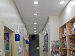 -爱佳宠物中心医院24H·CT·骨外科·猫专科(瑶海万达店)