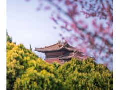 -泰山花样年华景区