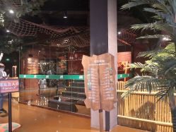 -奇幻丛林(佛罗伦萨小镇店)