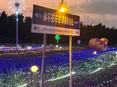 -海上田园