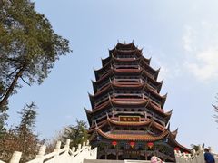 -铁山坪森林公园