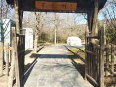 -红楼梦邮局