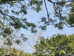 -白沙门生态公园