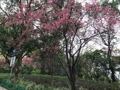-乌山风景区