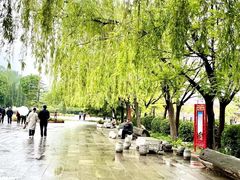 -洛阳市隋唐城遗址植物园