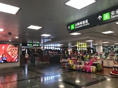 -厦门高崎国际机场-T3航站楼