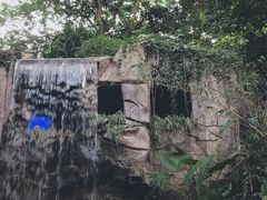 -青青世界