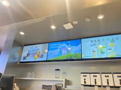 -TD66高山铁皮石斛养生茶饮