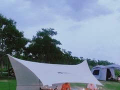 -春花秋色城市公园