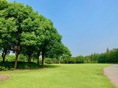 -上海滨江森林公园