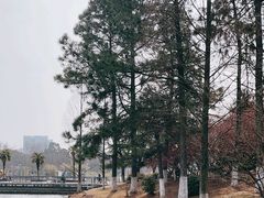 -白塘生态植物园