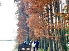 -东湖落雁景区