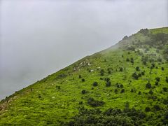 -灵山